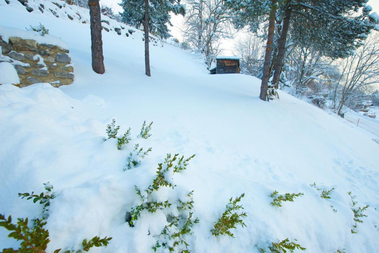 Chalet 4 Personnes Avec Sauna Лезен Екстериор снимка
