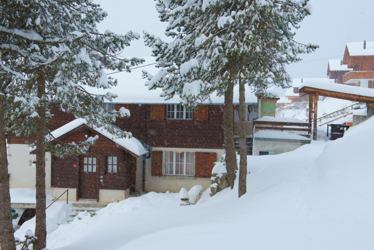 Chalet 4 Personnes Avec Sauna Лезен Екстериор снимка