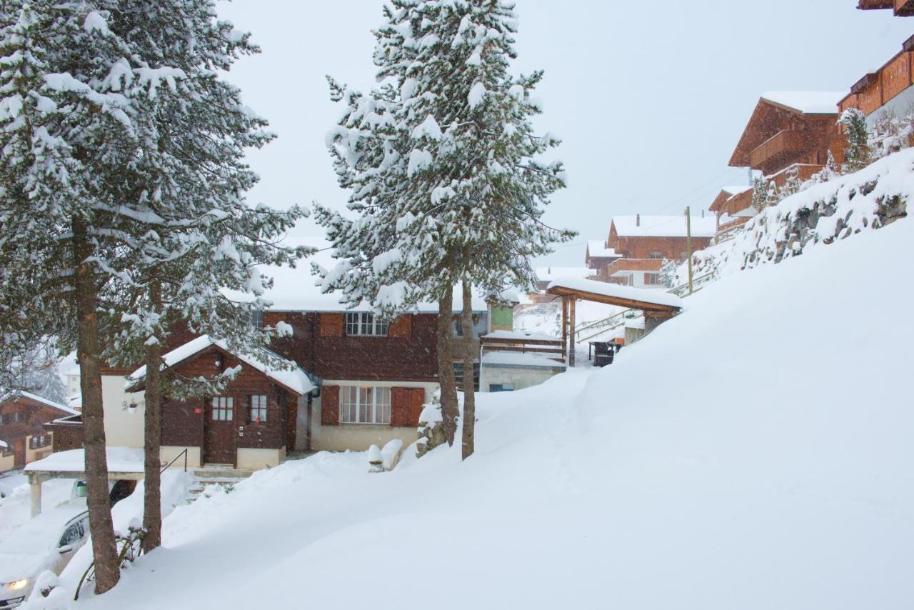 Chalet 4 Personnes Avec Sauna Лезен Екстериор снимка